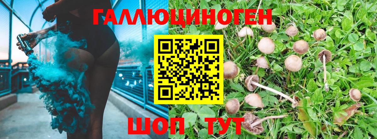 дарнет шоп  Вход с VPN  Ржев  Псилоцибиновые грибы Cubensis 