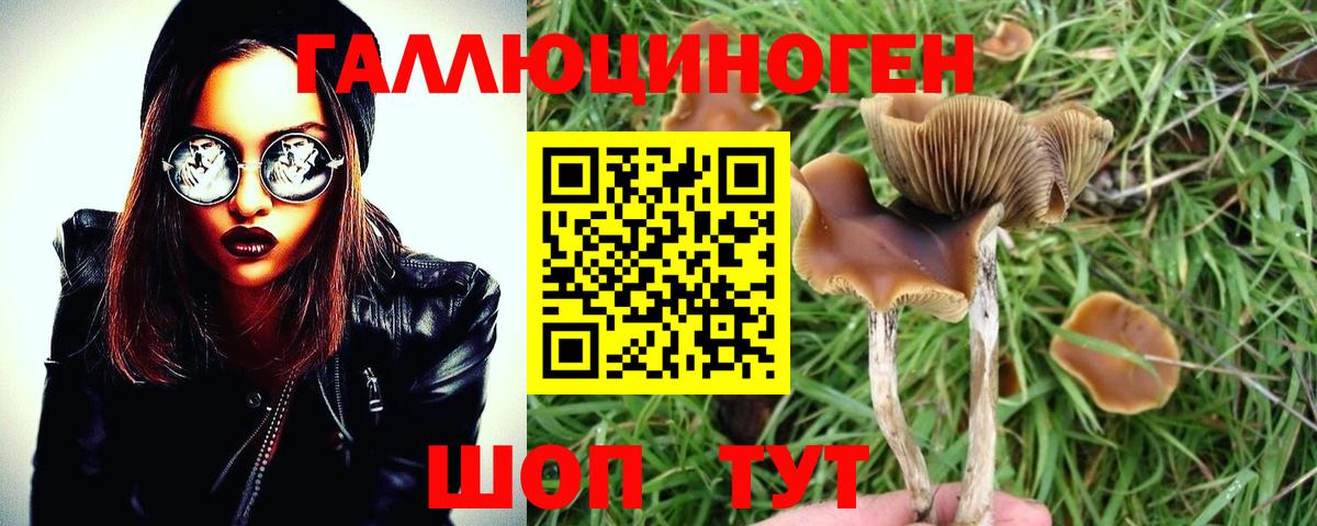 Псилоцибиновые грибы GOLDEN TEACHER Ржев
